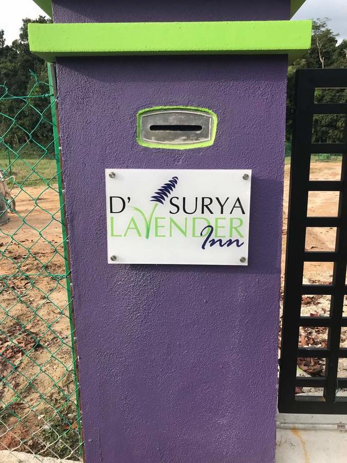 D' Surya Lavender Inn 판타이체낭 외부 사진